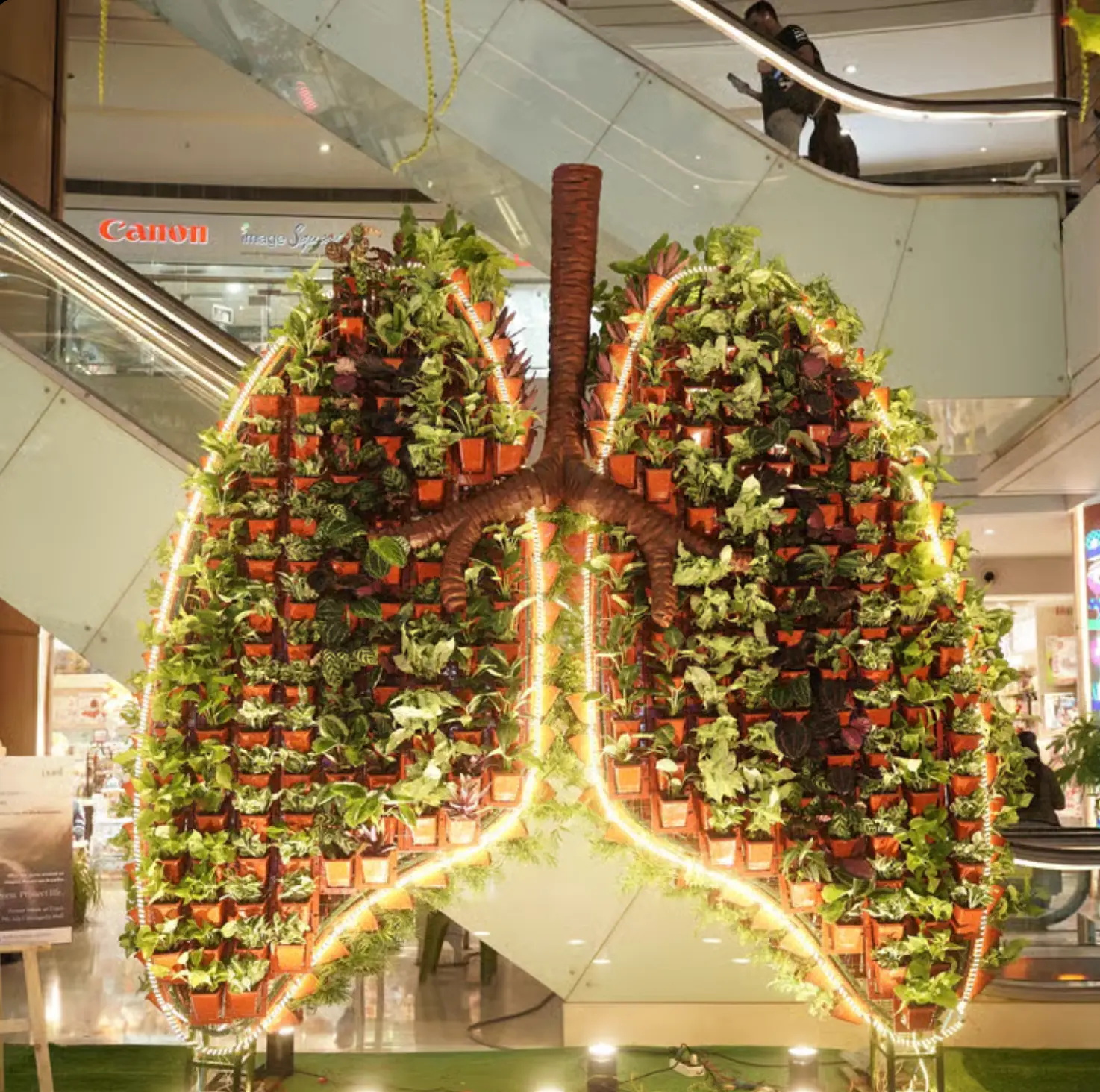 Project WornOut fieldwork at Acropolis Mall, Kolkata